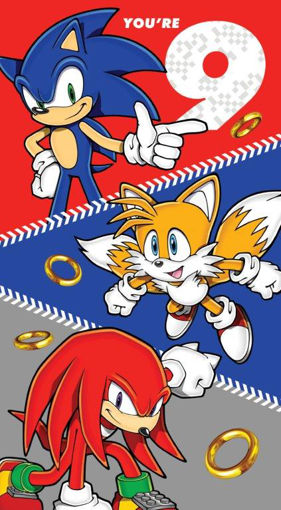 Picture of SONIC 9TH HAPPY BIRTHDAY CARD